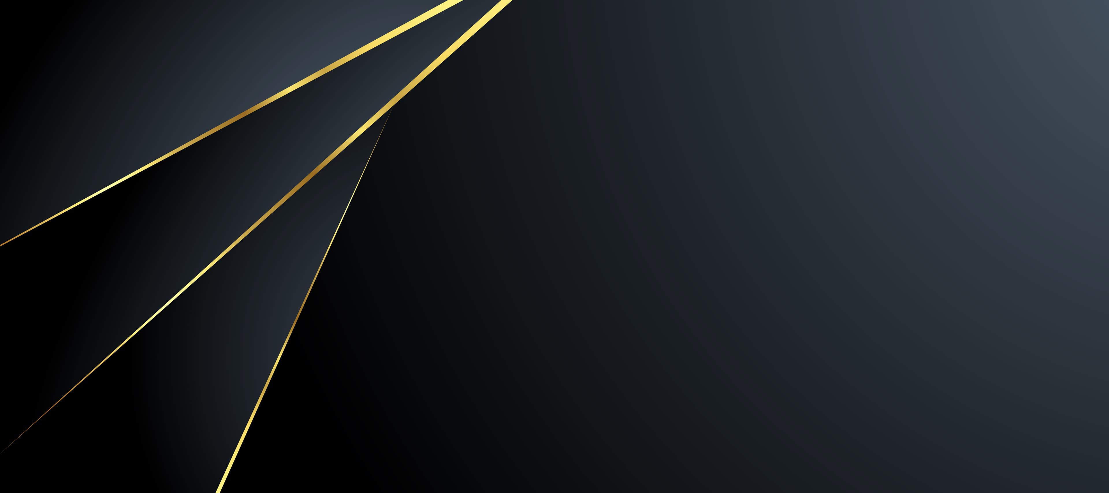 Custom Software Development